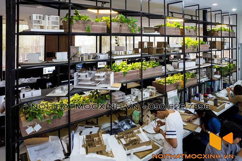 đưa cây xanh vào không gian làm việc 03