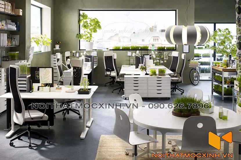 đưa cây xanh vào không gian làm việc