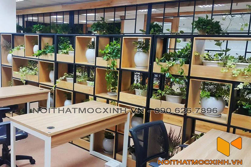 văn phòng làm việc có cây xanh