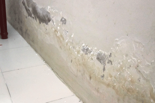 xử lý ẩm mốc tường